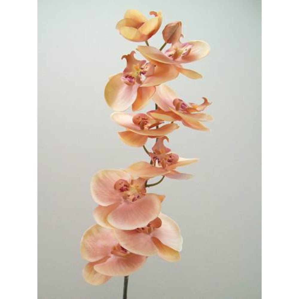 Phalaenopsis Orchids Champagne Peach 92cm Artificial Flowers